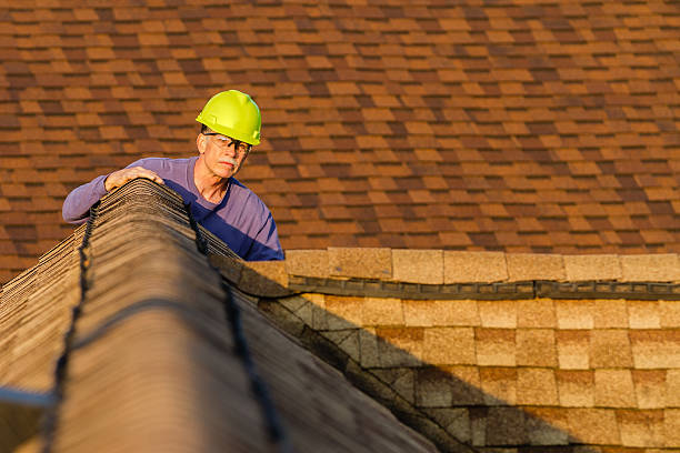 Roof Gutter Cleaning in Friars Point, MS